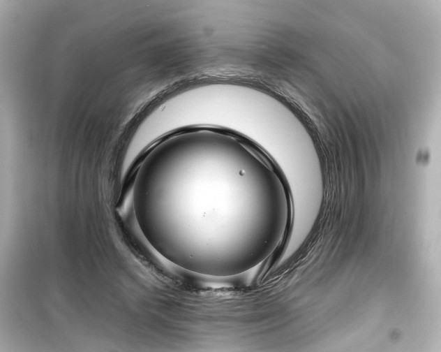 X0000099490448200805221342