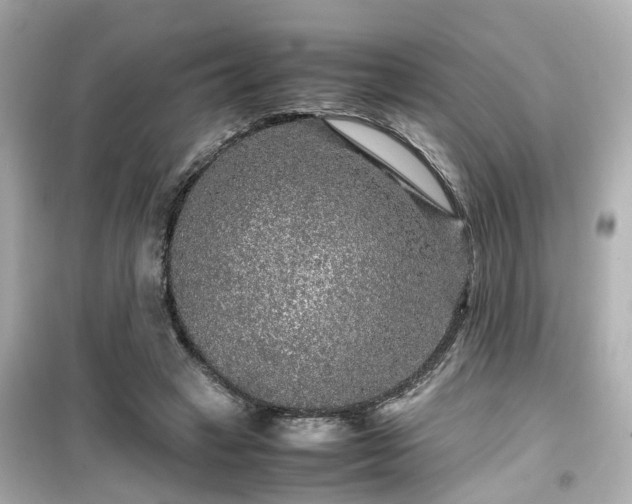 X0000099490449200805221342