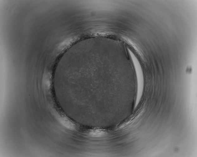 X0000099490451200805221342