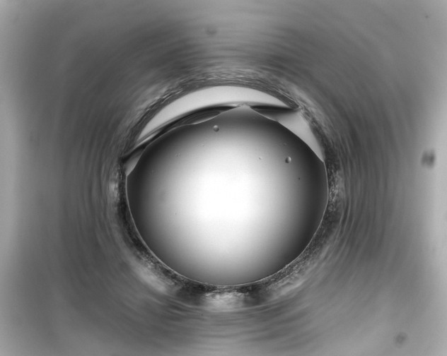 X0000099490452200805221342