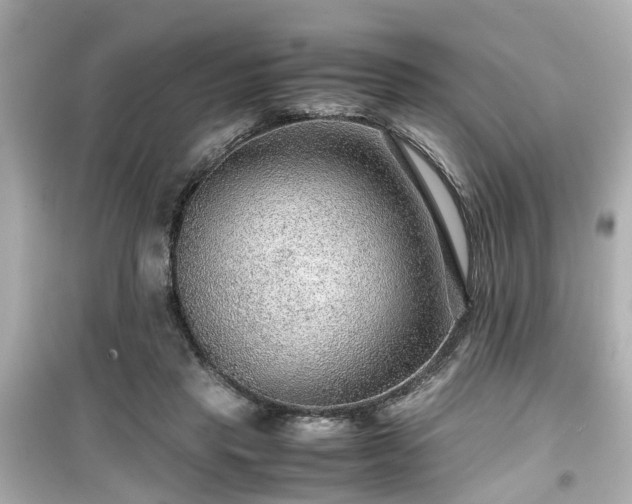 X0000099490453200805221342