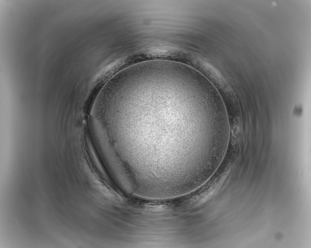 X0000099490454200805221342