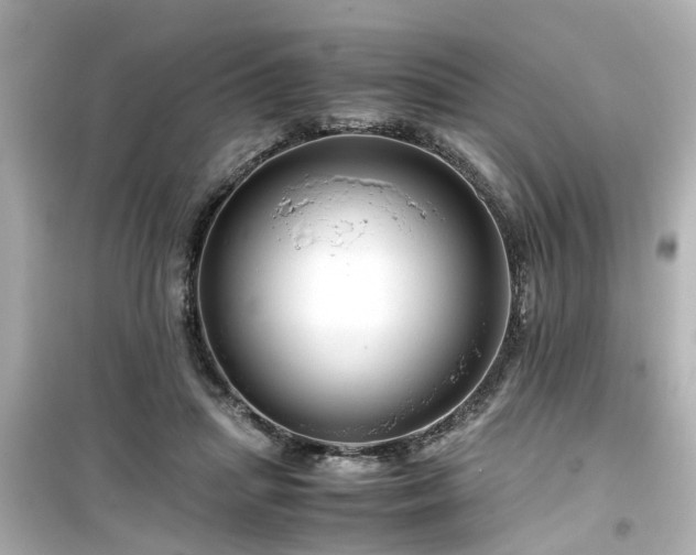 X0000099490455200805221342