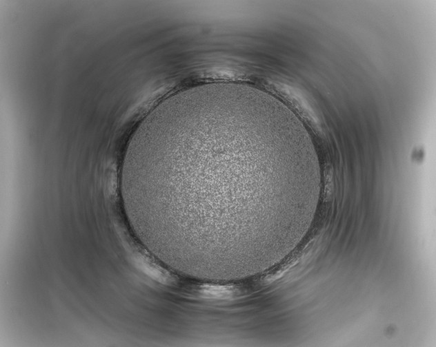 X0000099490457200805221342