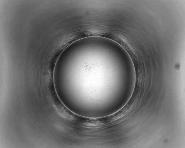 X0000099490459200805221342