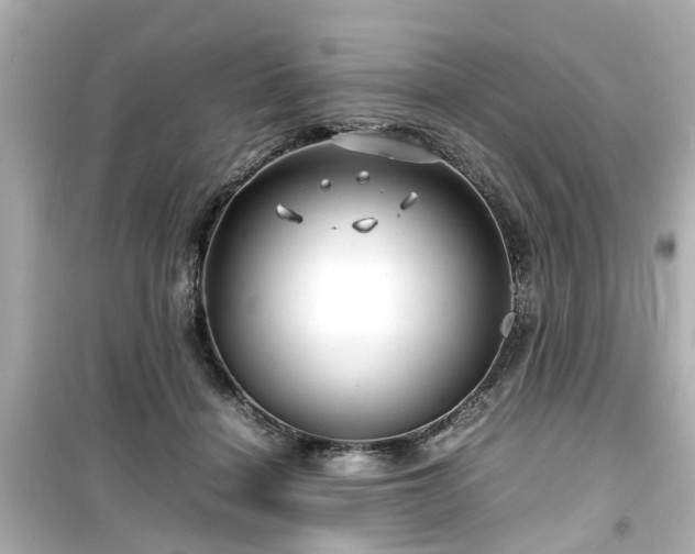 X0000099490460200805221342