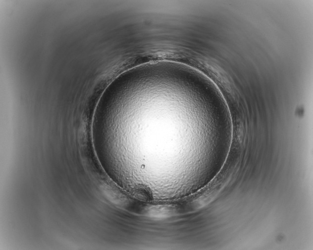 X0000099490461200805221342