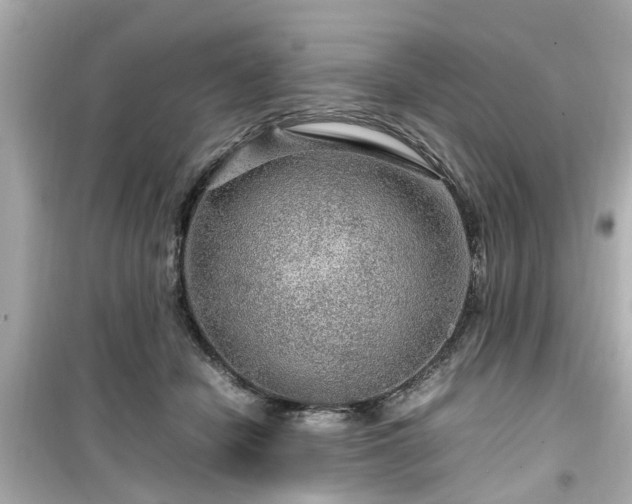 X0000099490462200805221342