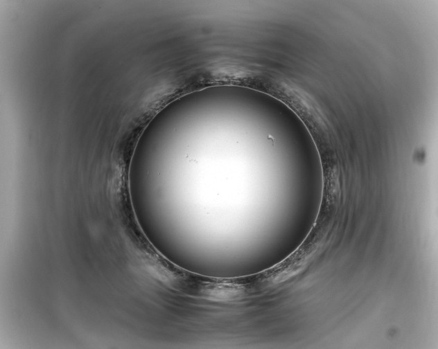 X0000099490463200805221342