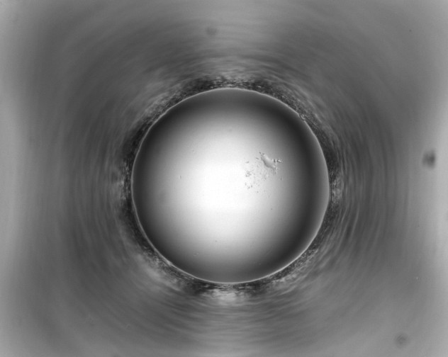 X0000099490464200805221342