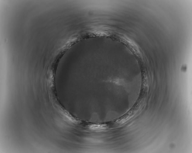 X0000099490465200805221342