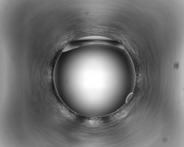 X0000099490466200805221342