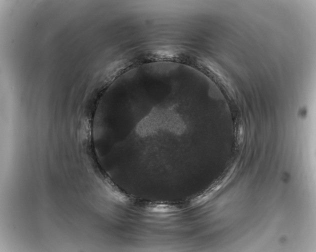 X0000099490467200805221342