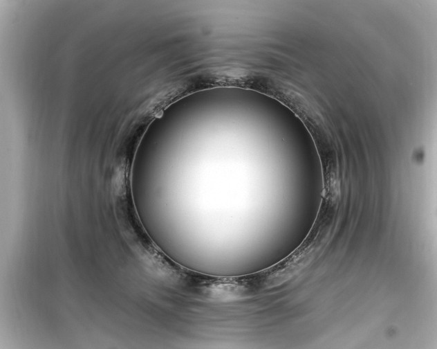 X0000099490468200805221342
