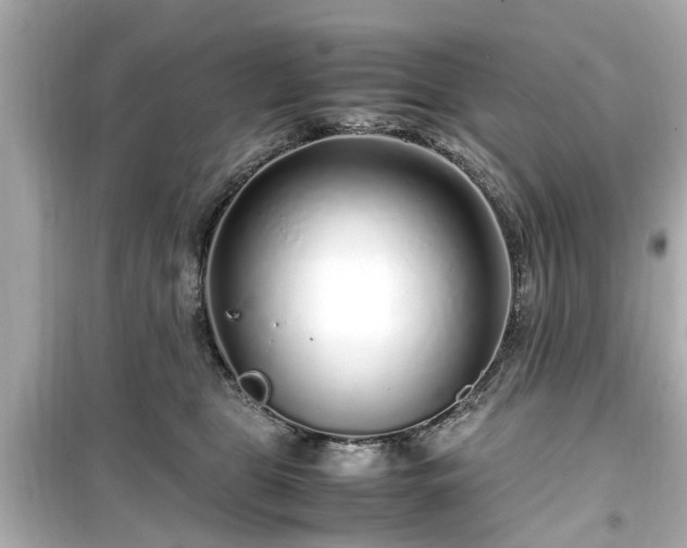 X0000099490469200805221342