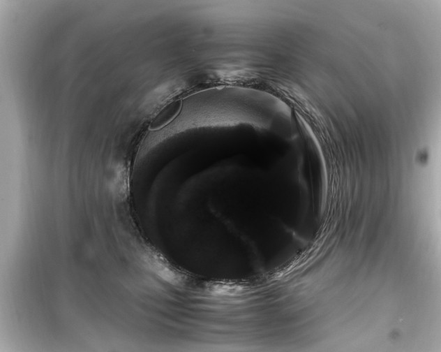 X0000099490471200805221342