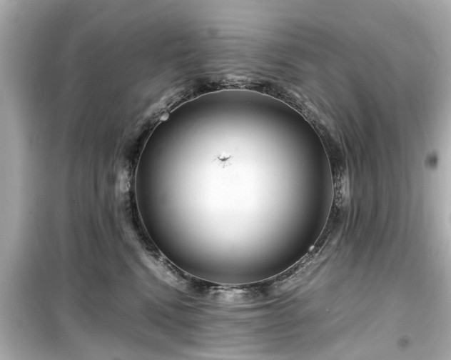 X0000099490472200805221342