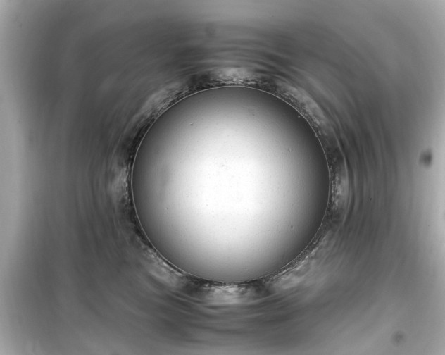 X0000099490473200805221342