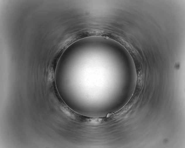 X0000099490474200805221342