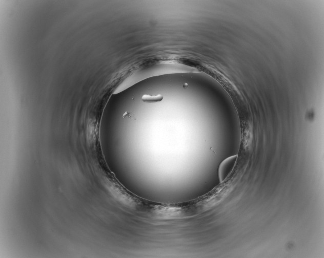 X0000099490476200805221342