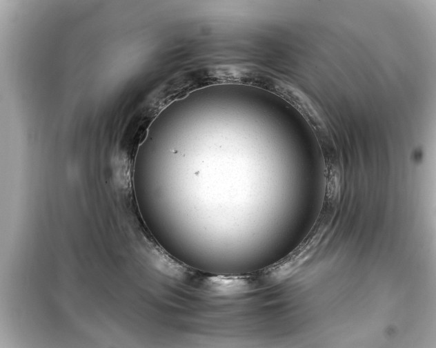 X0000099490477200805221342