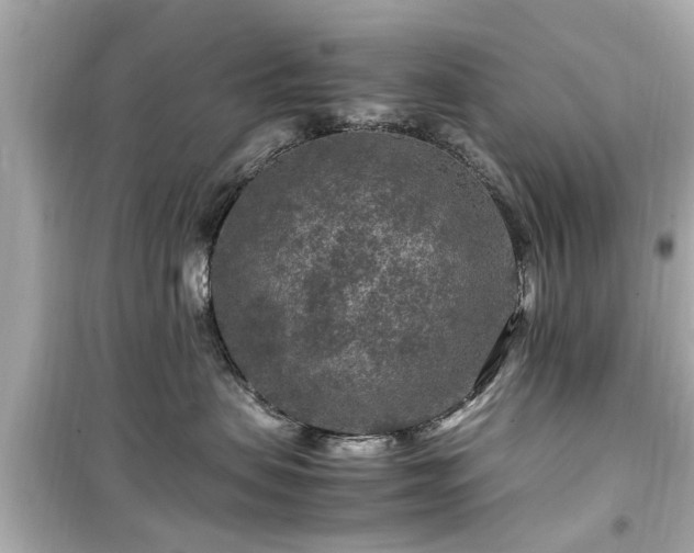 X0000099490479200805221342