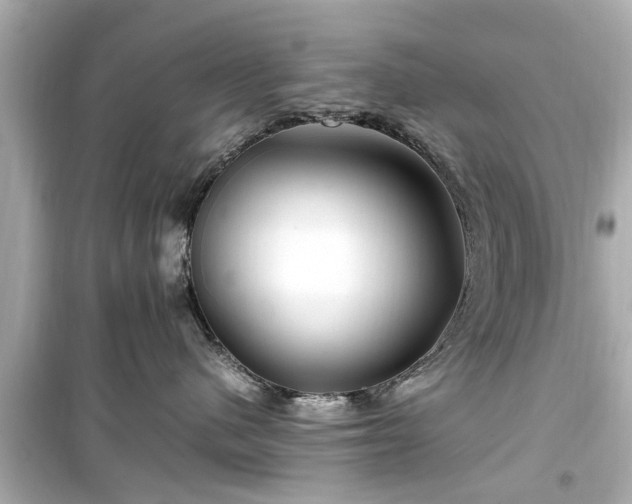X0000099490480200805221342