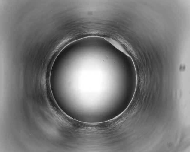X0000099490482200805221341