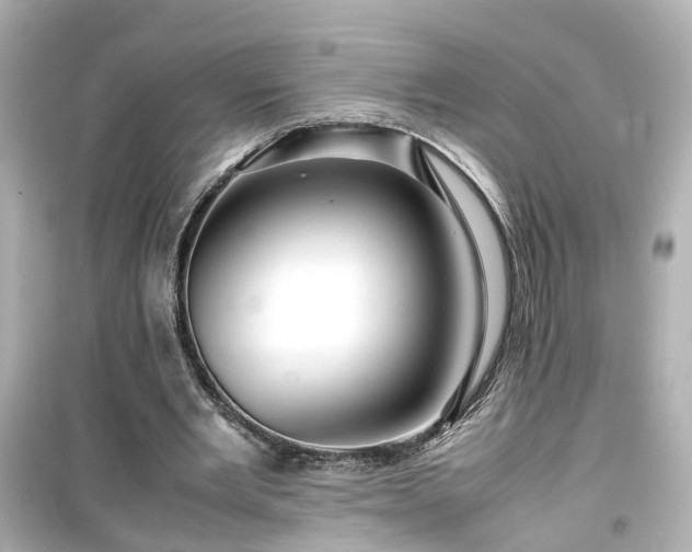X0000099490485200805221341
