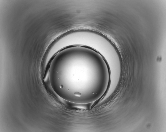 X0000099490487200805221341