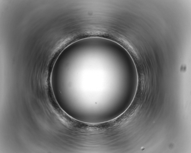 X0000099490490200805221341