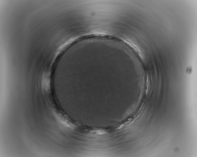 X0000099490492200805221341