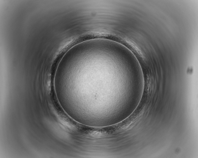 X0000099490494200805221341