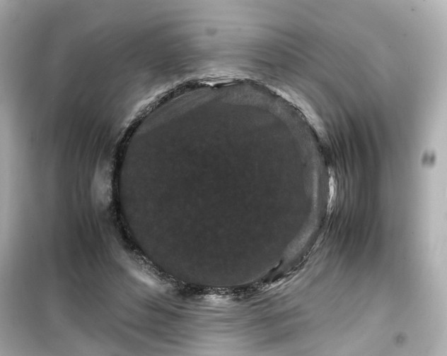 X0000099490496200805221341