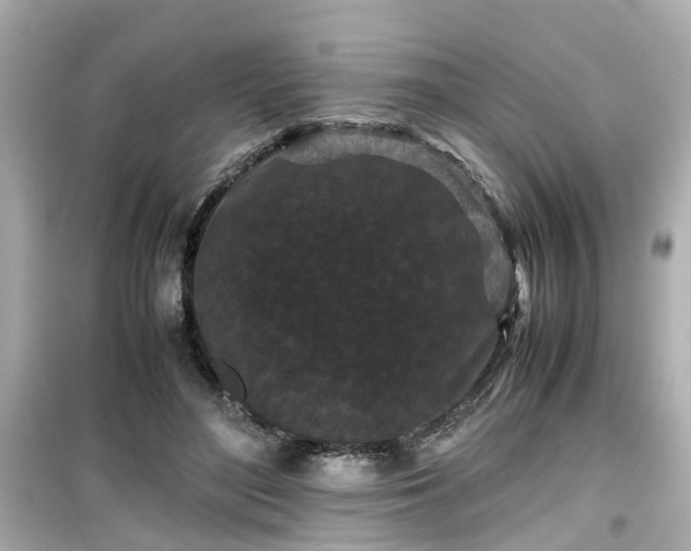 X0000099490500200805221341