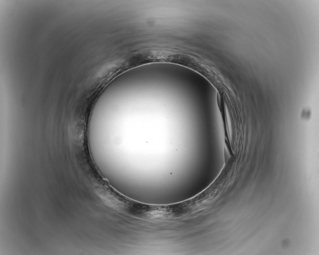 X0000099490505200805221341
