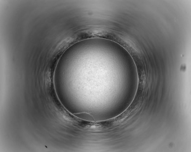 X0000099490506200805221341