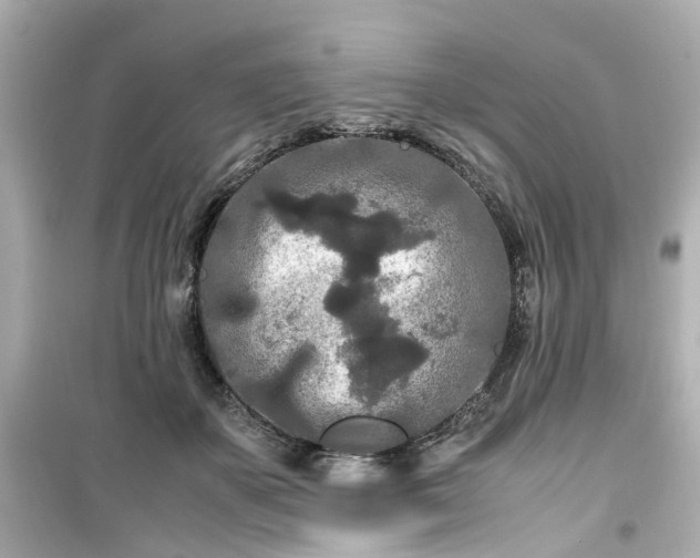 X0000099490507200805221341