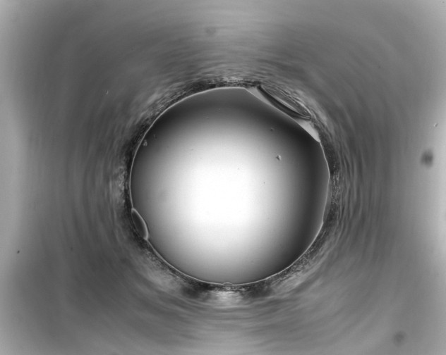 X0000099490509200805221341