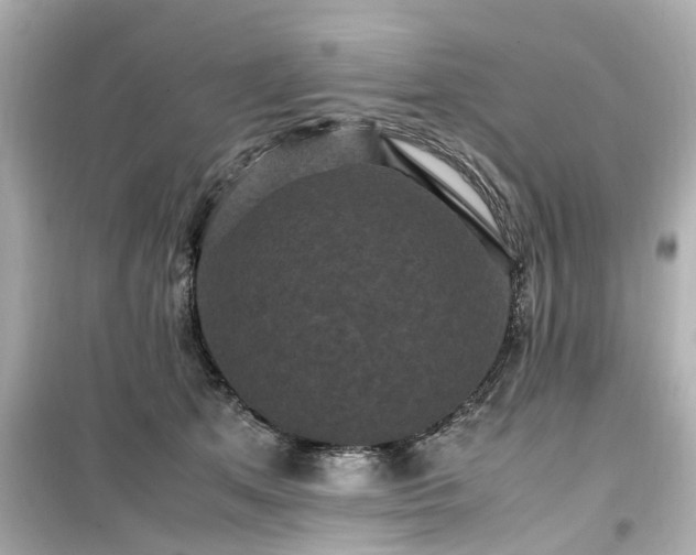 X0000099490513200805221341