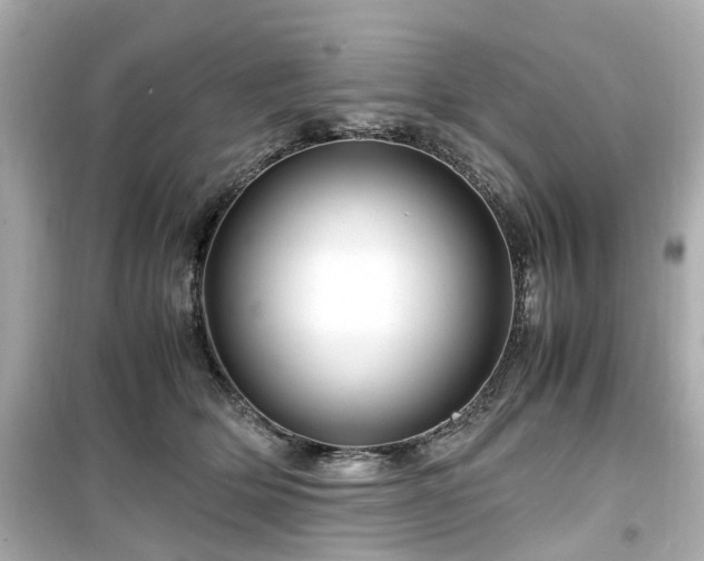 X0000099490514200805221341