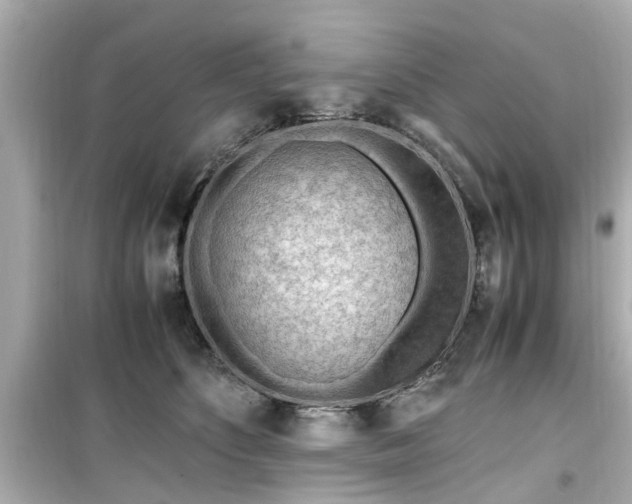 X0000099490516200805221341