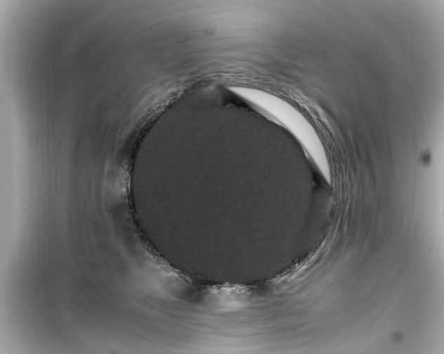 X0000099490517200805221341