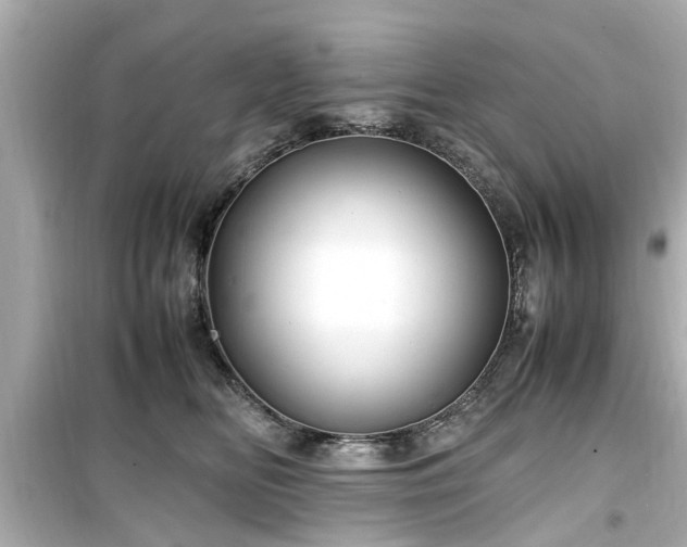 X0000099490518200805221341