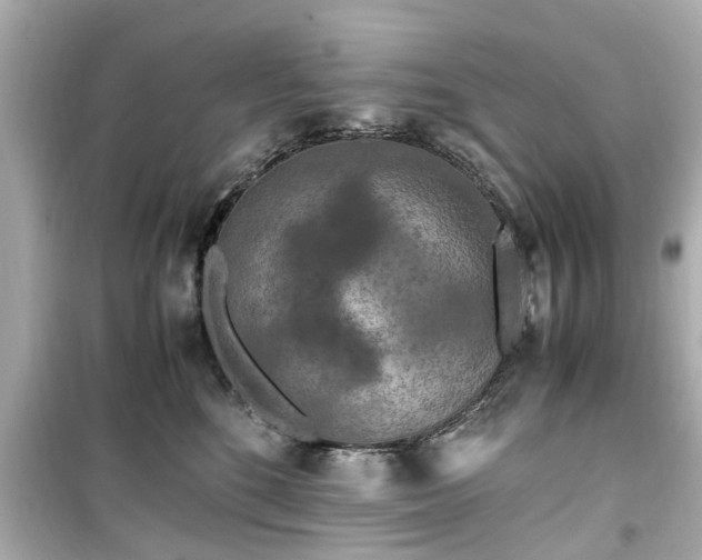X0000099490520200805221341