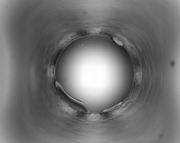 X0000099490525200805221341