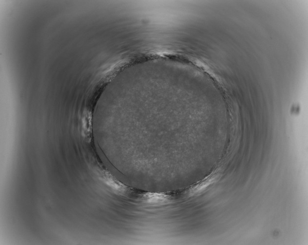 X0000099490528200805221341