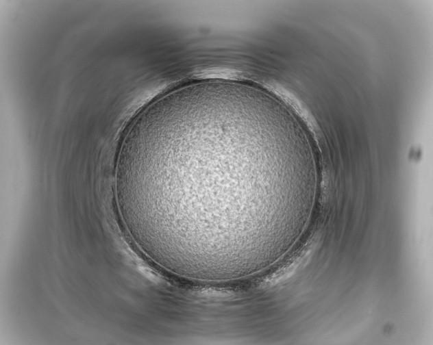 X0000099490529200805221340