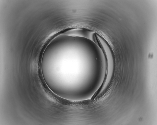 X0000099490530200805221340