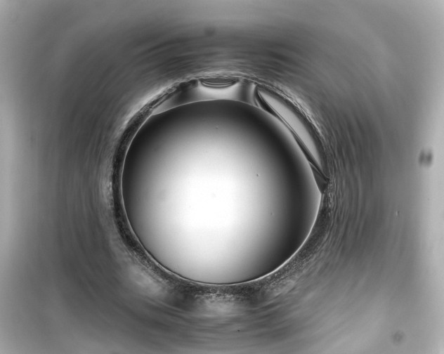X0000099490535200805221340